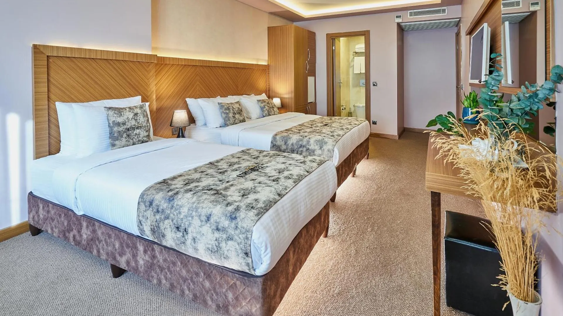 Atro Hotel Istanbul Turkey